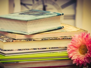 Дневни магазин културе