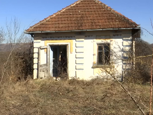 Како је током Другог светског рата, у драгачевском селу Доњи Дубац, настала јединствена галерија фресака