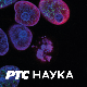 Научни пројекти академске заједнице:	Факултет организационих наука