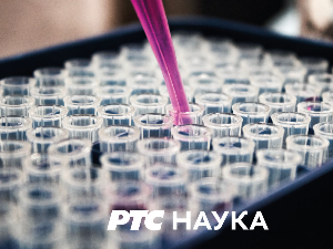 Образовна репортажа – Успешне школе: Једна је једина Бањалучка гимназија
