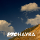 Породична мрежа: Изласци