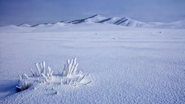 Ледени дани у Монголији 