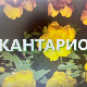Еко минијатуре