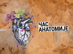 Час анатомије: Зашто страхујемо?