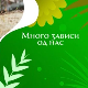 Еко минијатуре