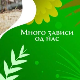 Еко минијатуре