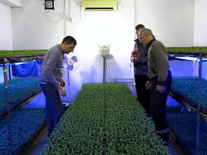 Повртари у Житорађи спремају се за нову производну годину 