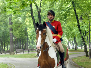 Кнежевина Србија