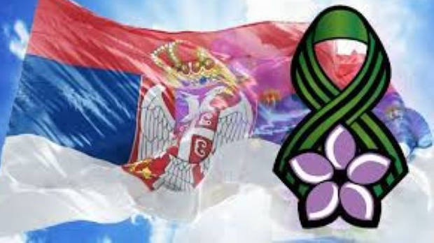 У средишту пажње: Поводом Дана примирја у Првом светском рату – о узроцима рата и позицији Србије