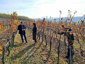 Знање имање: Наслеђе