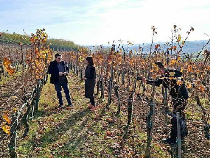 Знање имање-17.11.2024.