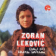 Портрет – Зоран Лековић