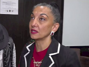 Романипен: У сусрет Дану ромског језика