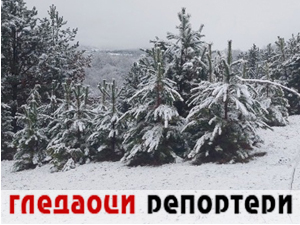 Гледаоци репортери 2. децембар 2024.