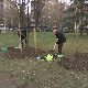 Сто стабала за сто година Радио Београда у Ташмајданском парку и Звездарској шуми