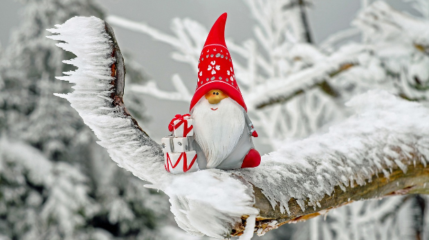 Зимско кулирање