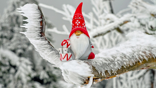 Зимско кулирање