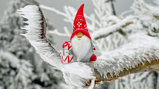 Зимско кулирање