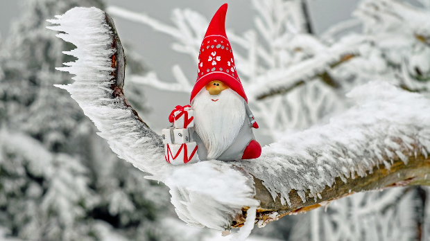 Зимско кулирање