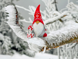 Зимско кулирање