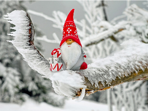 Зимско кулирање