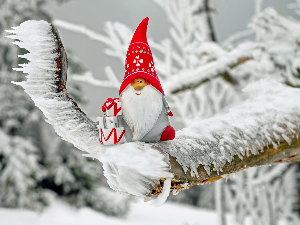 Зимско кулирање