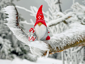 Зимско кулирање