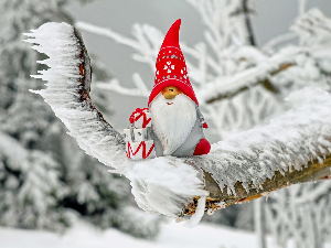 Зимско кулирање