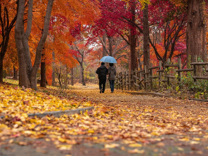 Из другог угла