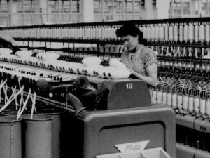 Приступачан програм: Један другачији свет (СЗЈ)