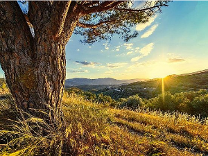 Еко минијатуре: Празнична честитка - порука природе