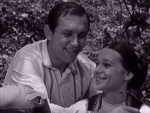 Сваки дан по једна песма