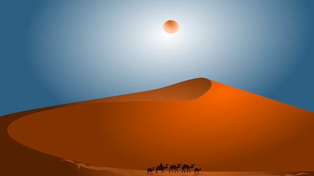 Караван: Хумористичка емисија