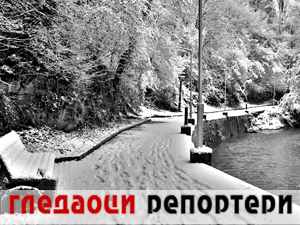 Гледаоци репортери 29. децембар 2024.