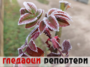 Гледаоци репортери 1. јануар 2025.
