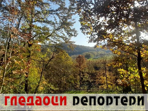Гледаоци репортери 5. децембар 2024.