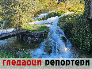 Гледаоци репортери 7. децембар 2024.