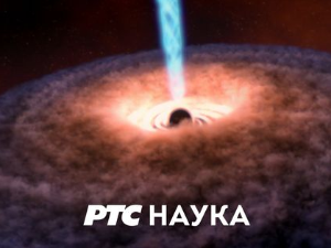 РТС Лаб: Неуробиологија љубави