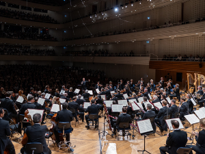 Фестивал у Луцерну 2023