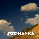 Скривени свет пчела: Како да помогнемо пчелама