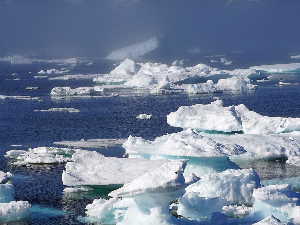 Прва испорука арктичког леда са Гренланда стигла у Дубаи да расхлађује пића у отменим ресторанима