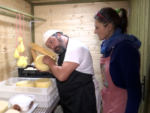 Алпски укуси у Шумадији