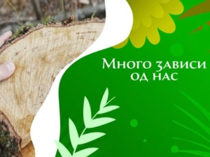 Еко минијатуре