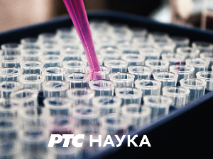 Српски јунаци средњег века: Ђурађ Бранковић, други део