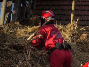 Настављена потрага за двогодишњом Данком Илић, тимови МУП-а за спасавање претражују терен око куће
