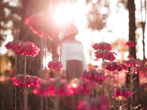 Дан жена Еурорадија