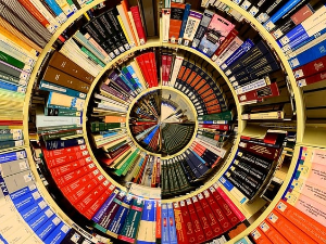 Дубравка Ђурић: Антологија америчке експерименталне поезије (1)