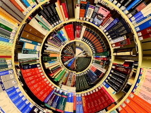   Антологија америчке експерименталне поезије – Џејмс Шери и Кенет Голдсмит