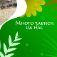 Еко минијатуре