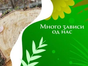 Еко минијатуре